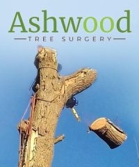 Ashwood Tree Surgery