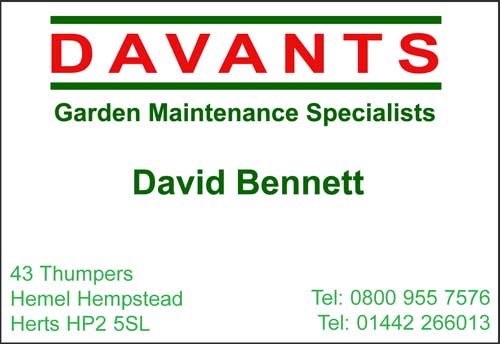 Davants Landscape & Maintenance