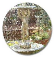 C. Saxby Landscape Gardeners