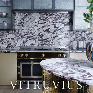 Vitruvius Ltd