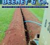 Beeney & Co. Ltd